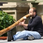 didgeridoo-onlineshop
