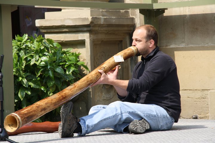 Positive Vibrations Didgeridoo Shop
